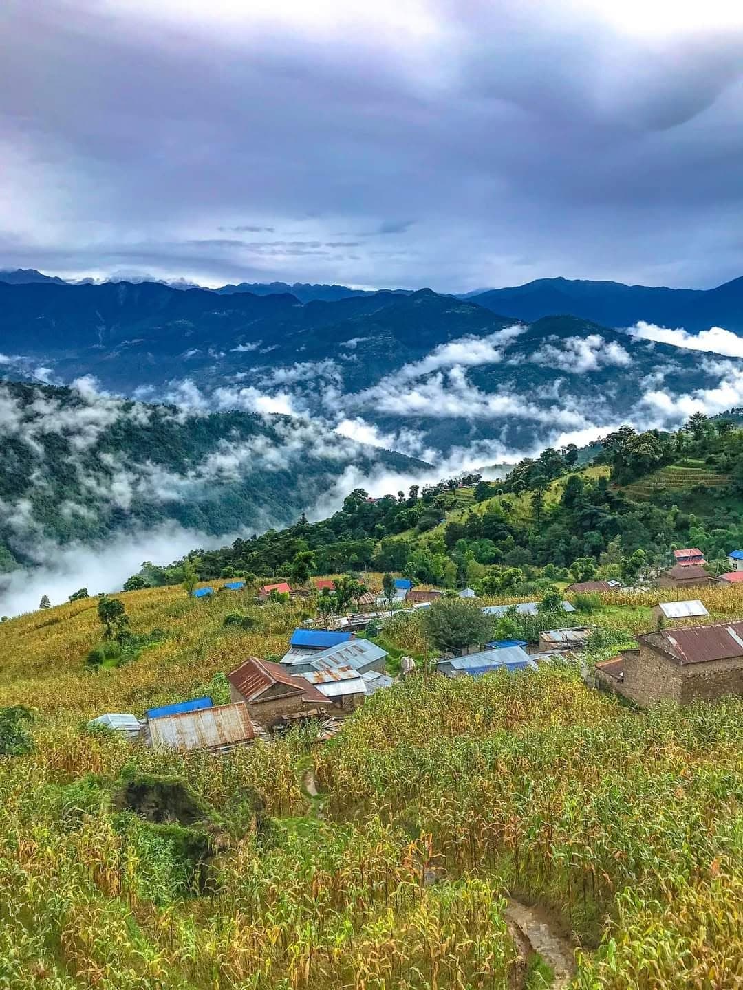 Misty Hills